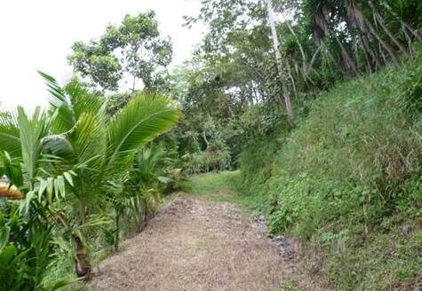 Beautiful lot with cabin in Atenas – 40005152801