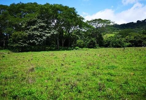 Large property perfect for agricultural project – 40005152415