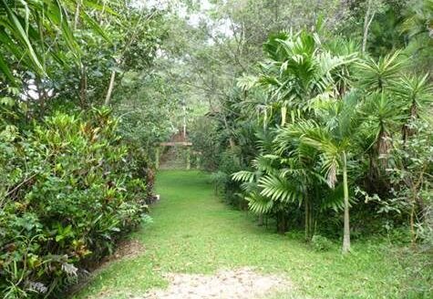 Beautiful lot with cabin in Atenas – 40005152801