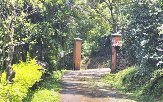 Spacious 3-Bedroom Furnished Home with Garden Views for Rent in Atenas – 400052042217