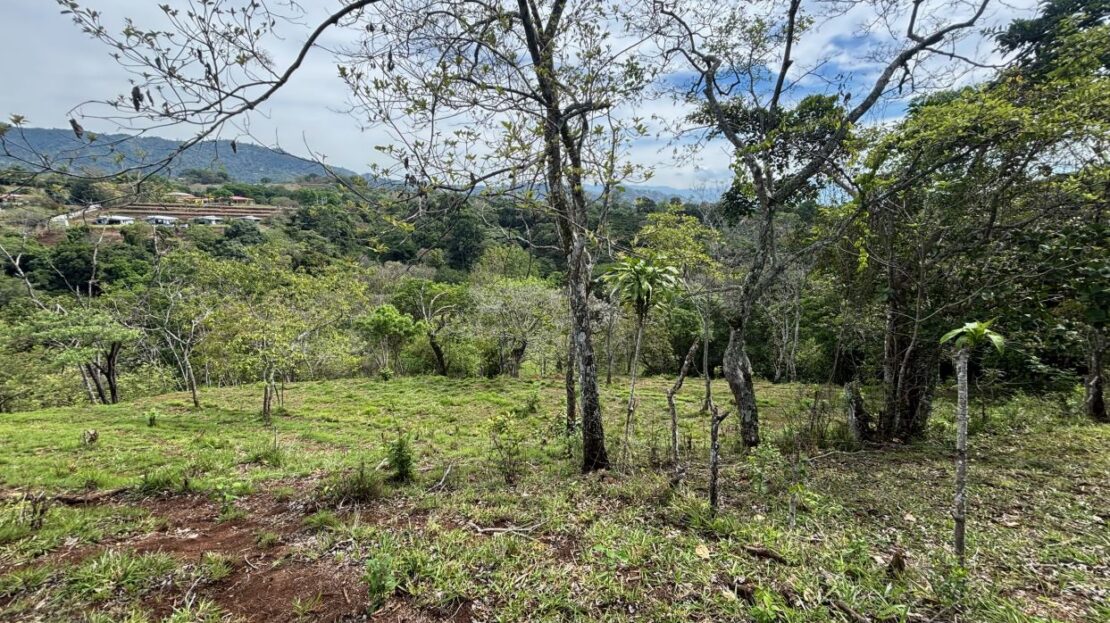 Costa Rica Lot/Land #400051521036