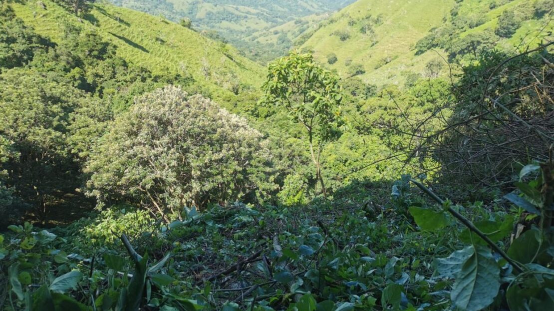 Costa Rica Lot/Land #400052042199