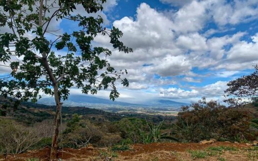 Prime 1,000 m² Lot with Beautiful Views and Ready-to-Build Terraces – 400052042224