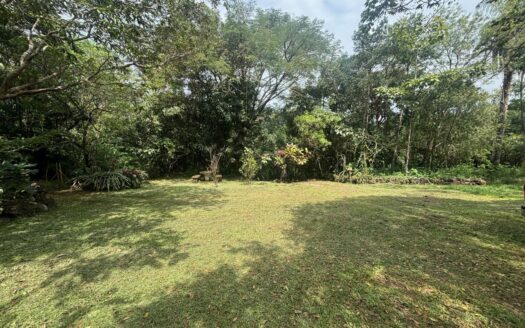Nice 500m2 (1/8 acre) lots in the Atenas countryside – 40005152984