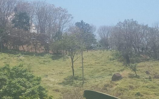 Farm in cool area of Atenas with view  – Alto Del Monte, Atenas, Alajuela – 40005152896