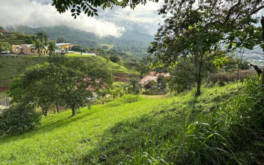 3/4 acre (3138m2) lot is the last available in the most popular community Roca Verde – 40005152937