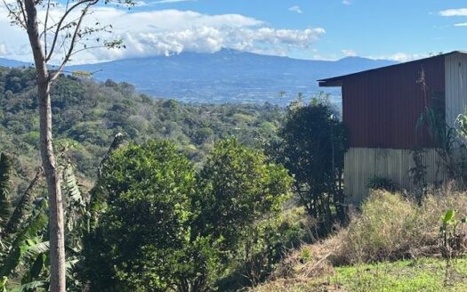 The perfect lot to build your dream home in Atenas – 40005152979