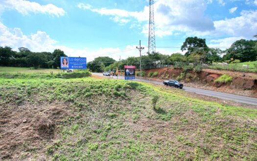 12,734m2 on the radial pass mixed use lot 650m2 from Atenas Center – 400051521068