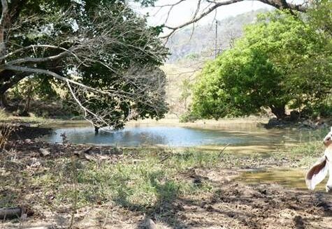 39 Hec. close to 27 ideal for private project – 40005152835