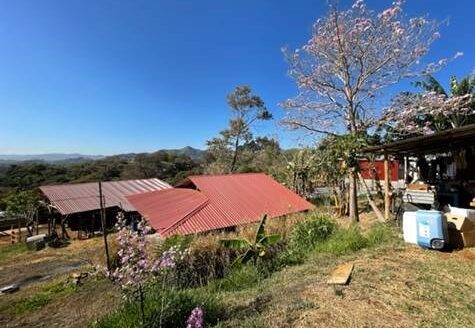 38,334m2 functioning farm with home and stables – 40005152795