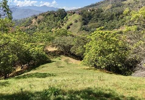 17,469m2 with private well adjacent Picaflora – El Guizaro, Atenas, Alajuela – 40005152769