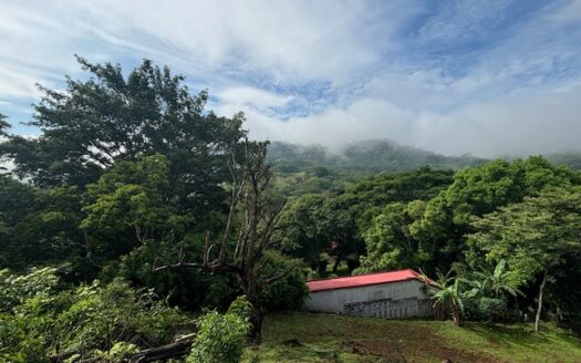 Property ideal for home, commercial on main highway – 40005152703