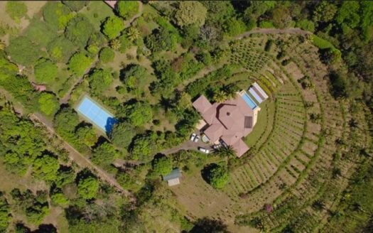 Elegant Atenas Estate & Functioning Coffee Farm – 40005152665