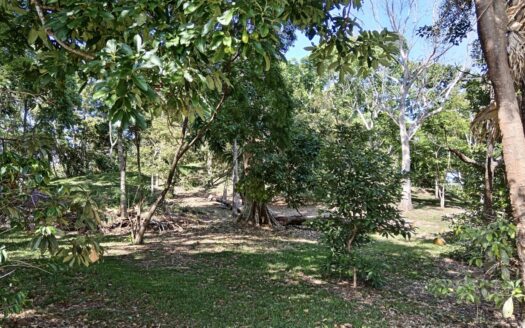 Beautiful views and quiet gated community – 400052042063