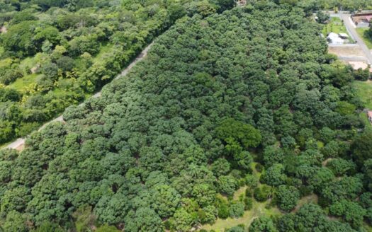 39,231m2 (almost 10 acres) with a large number of fruit trees ideal for development – 40005152972