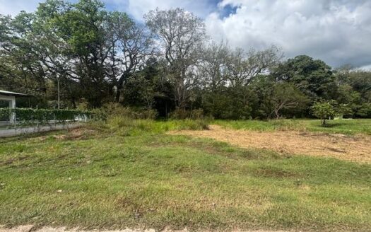 One of the last 2 lots in Roca Verde community in Atenas – 40005152992