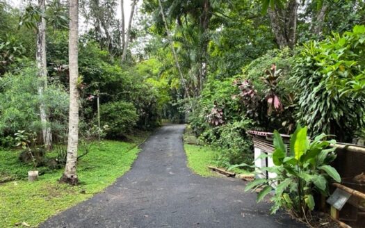 Modern build with large pool, 2 guest homes and ranchos – 40005152685