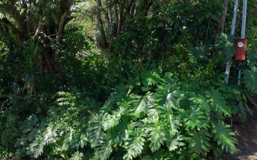 Large mixed use 22,346m2 lot close to the new and old highways – 400051521082