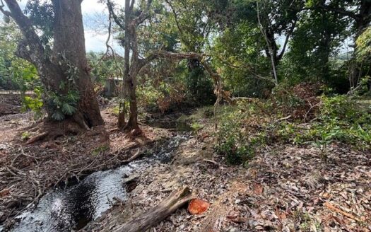 Picturesque property is located in the ideal residential setting – 400051521023