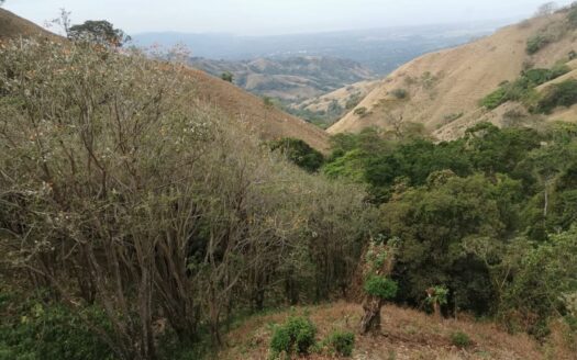 More than 7 acres with amazing mountains and ocean views! – 400052042199