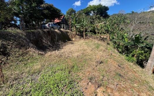 The perfect lot to build your dream home in Atenas – 40005152979