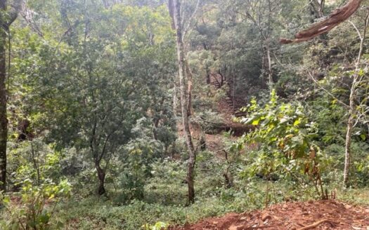 Ideal farm with amazing views for development – Guacimo, Atenas, Alajuela – 40005152876