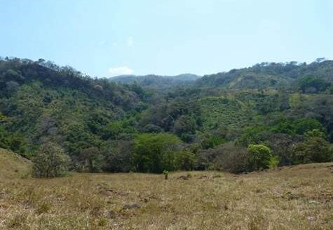 39 Hec. close to 27 ideal for private project – 40005152835