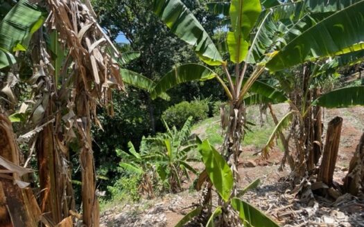 Affordable lot with views in Atenas – 40005152812