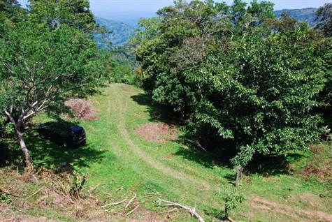 Property with Gulf of Nicoya Views ideal for farm or development – 40005152745