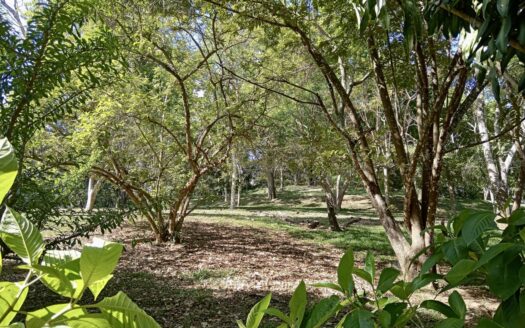 Beautiful views and quiet gated community – 400052042063