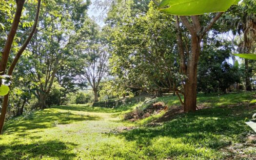 Flat area ready to build – 400052042064