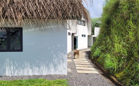 Present Airbnb with potential for boutique hotel, retreat, rehab, etc. with amazing views – 40005152962