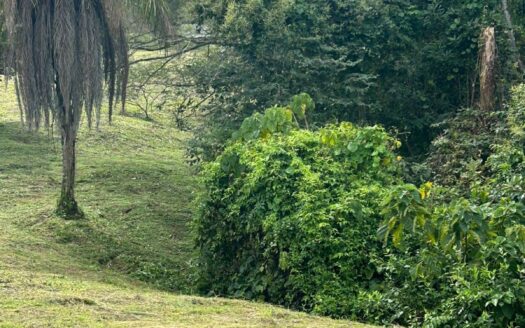 One of the last lots in one of the most exclusive Atenas neighborhoods – 400051521096