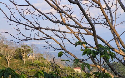 1.45 acres of land with amazing views in Atenas 3600 ft elevation – 400052042192