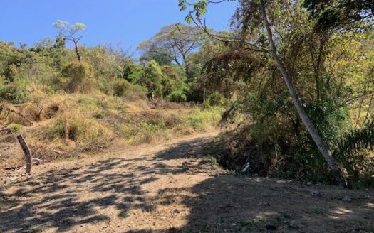 465,768m2 (116m2) with existing permits to develop – Barrueta, Atenas, Alajuela – 40005152660