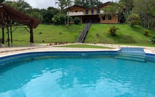 Amazing Colonial Country Style Home, guest home and large stable or storage – 40005152529