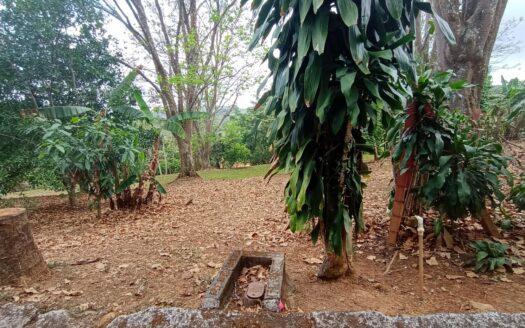 Flat area ready to build – 400052042064