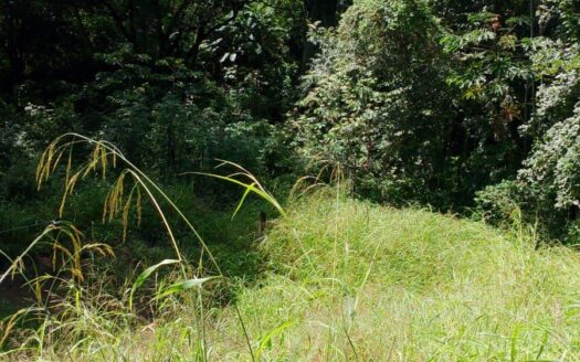 Large mixed use 22,346m2 lot close to the new and old highways – 400051521082