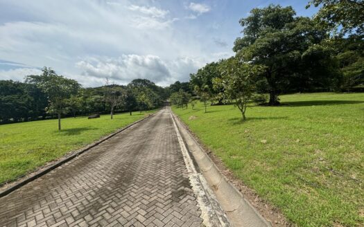 92,370m2 with a caretaker home ideal for development or private property – 40005152945