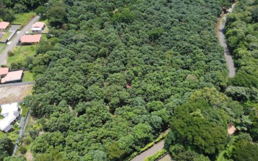 39,231m2 (almost 10 acres) with a large number of fruit trees ideal for development – 40005152972