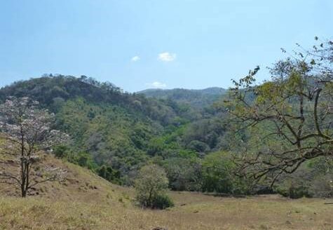 39 Hec. close to 27 ideal for private project – 40005152835