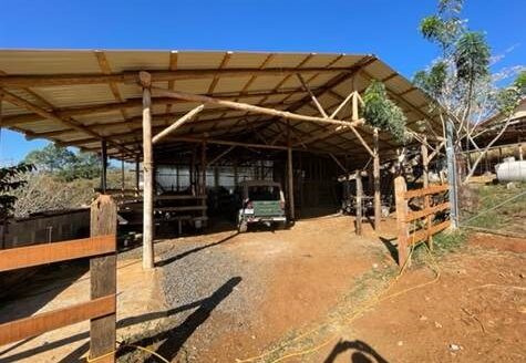 38,334m2 functioning farm with home and stables – 40005152795