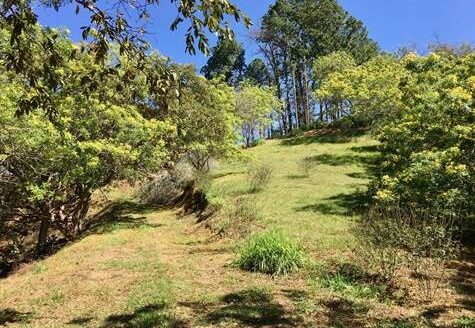 17,469m2 with private well adjacent Picaflora – El Guizaro, Atenas, Alajuela – 40005152769