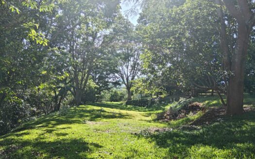 Flat area ready to build – 400052042064