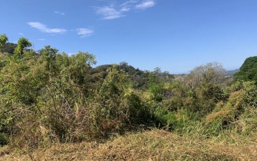 465,768m2 (116m2) with existing permits to develop – Barrueta, Atenas, Alajuela – 40005152660