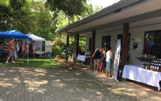 Mixed use property close to everything in La Guacima – 400051521062