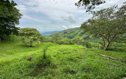 117,454m2 ideal for farm property with plenty of land – 40005152866