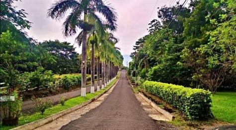 2 acre property with large home in Orotina – 40005152750