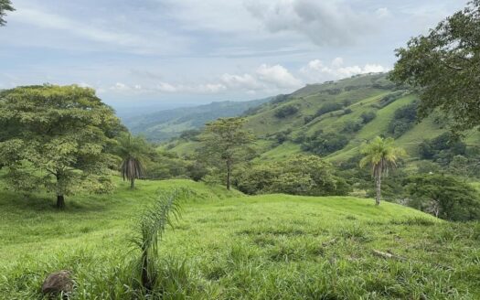 117,454m2 ideal for farm property with plenty of land – 40005152866