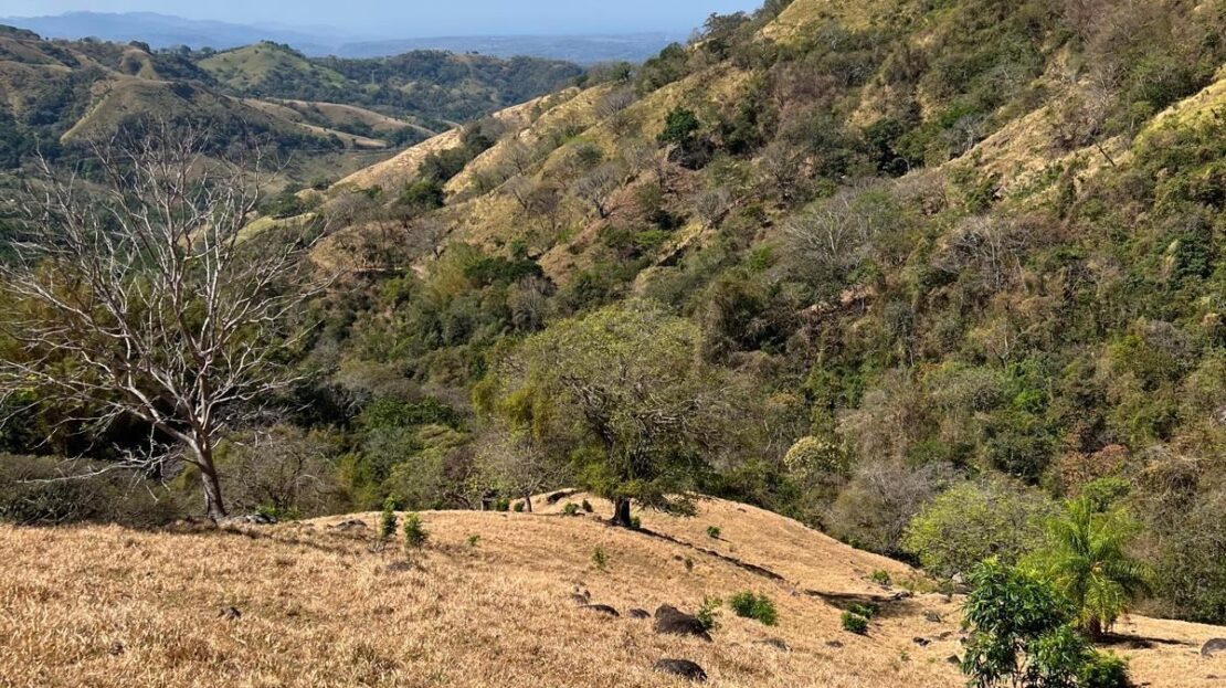 Costa Rica Lot/Land #400051521019